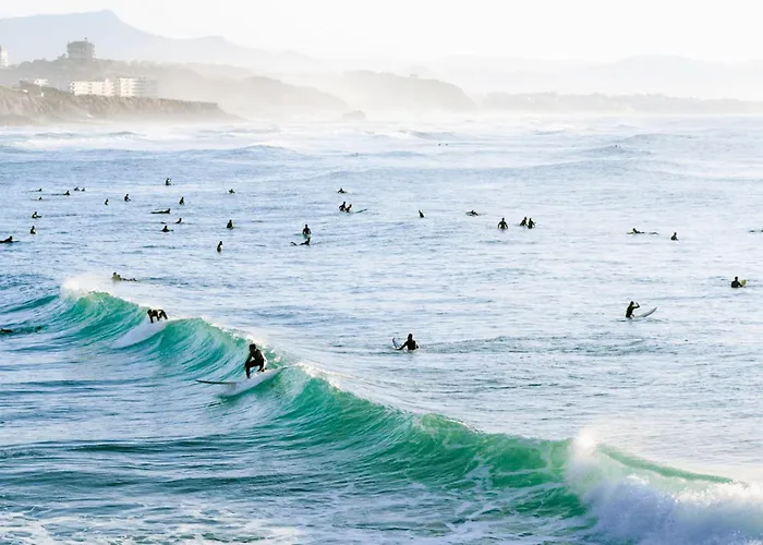 Lejlighed Little Bibi Terrace - Cote Des Basques And Private Garage *